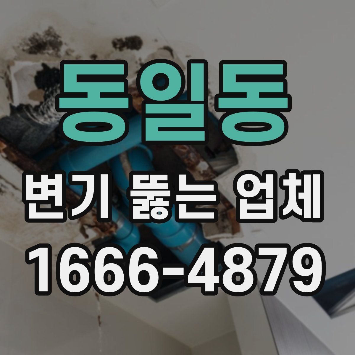 동일동 변기 뚫는 업체