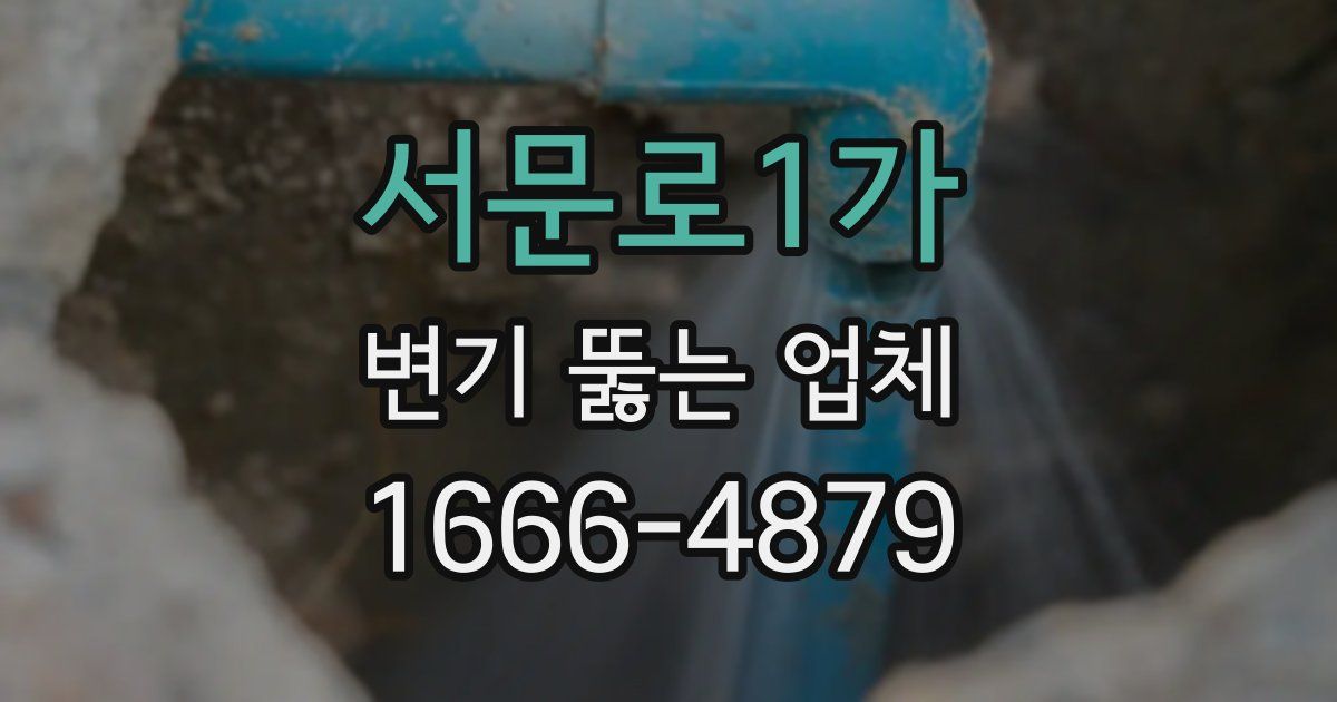 서문로1가 변기 뚫는 업체