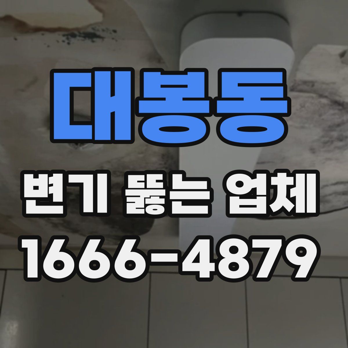 대봉동 변기 뚫는 업체