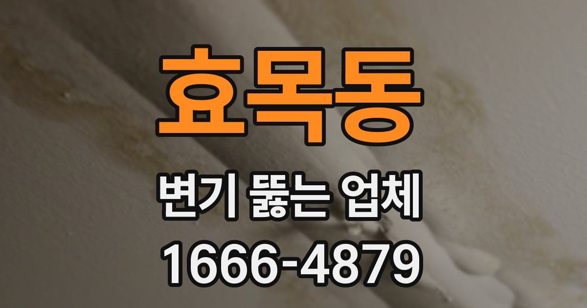 효목동 변기 뚫는 업체