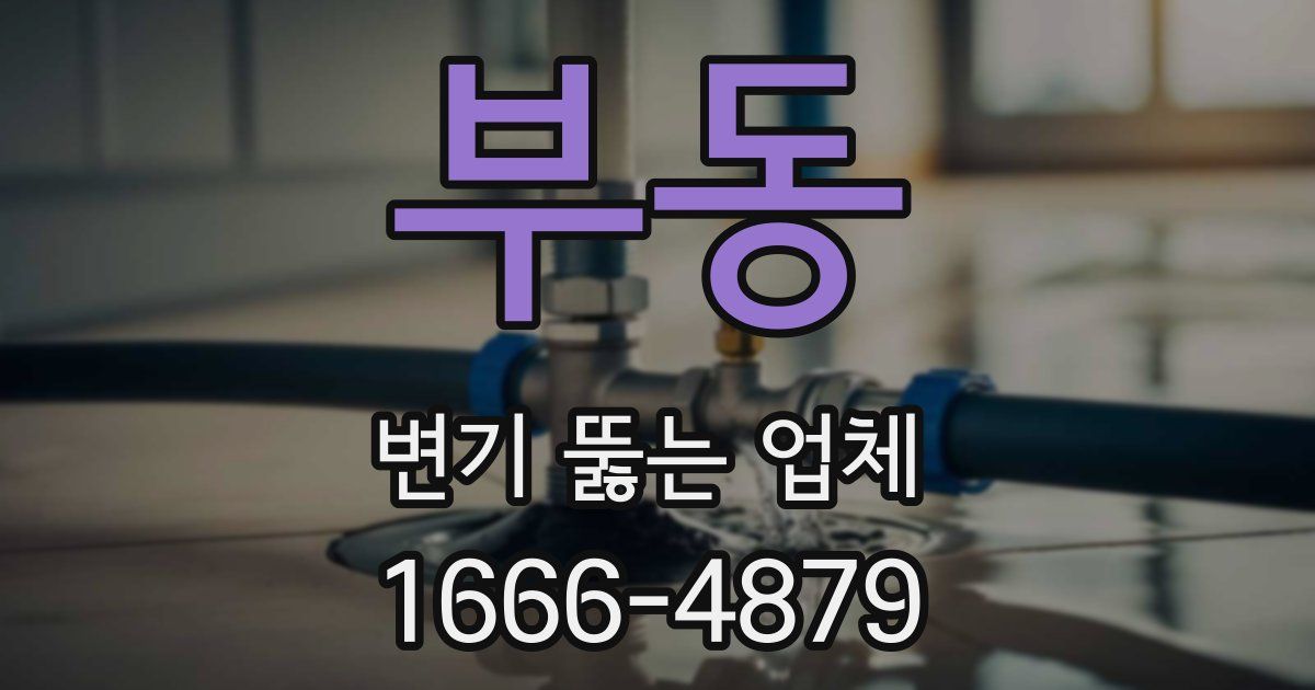 부동 변기 뚫는 업체