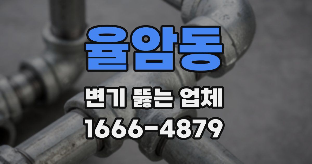 율암동 변기 뚫는 업체