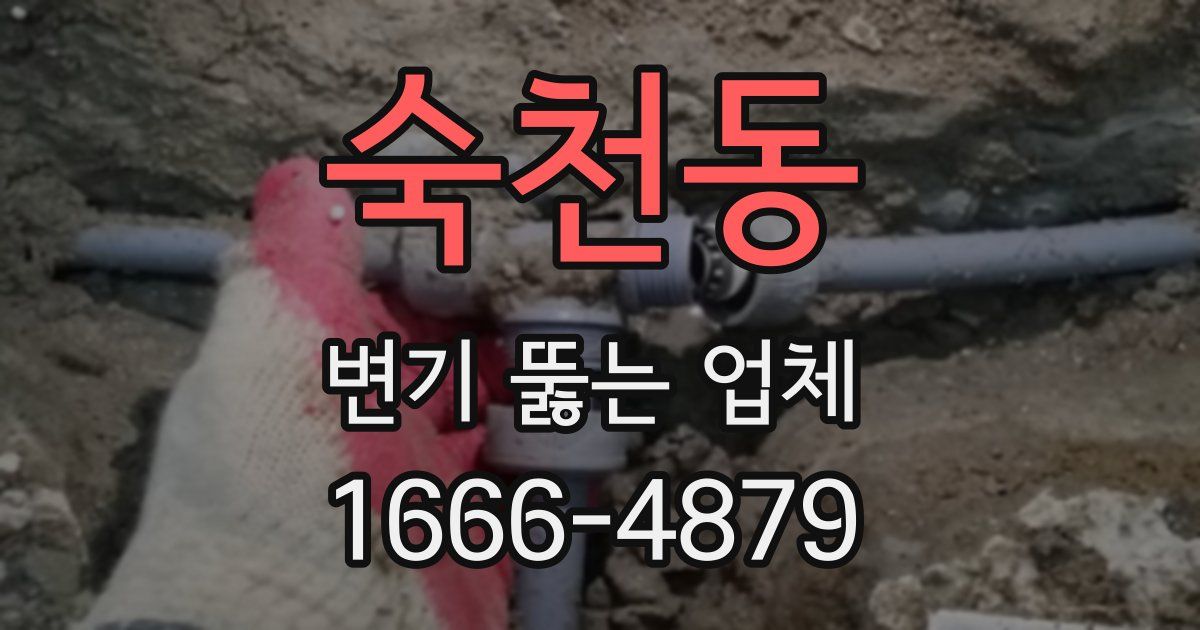 숙천동 변기 뚫는 업체