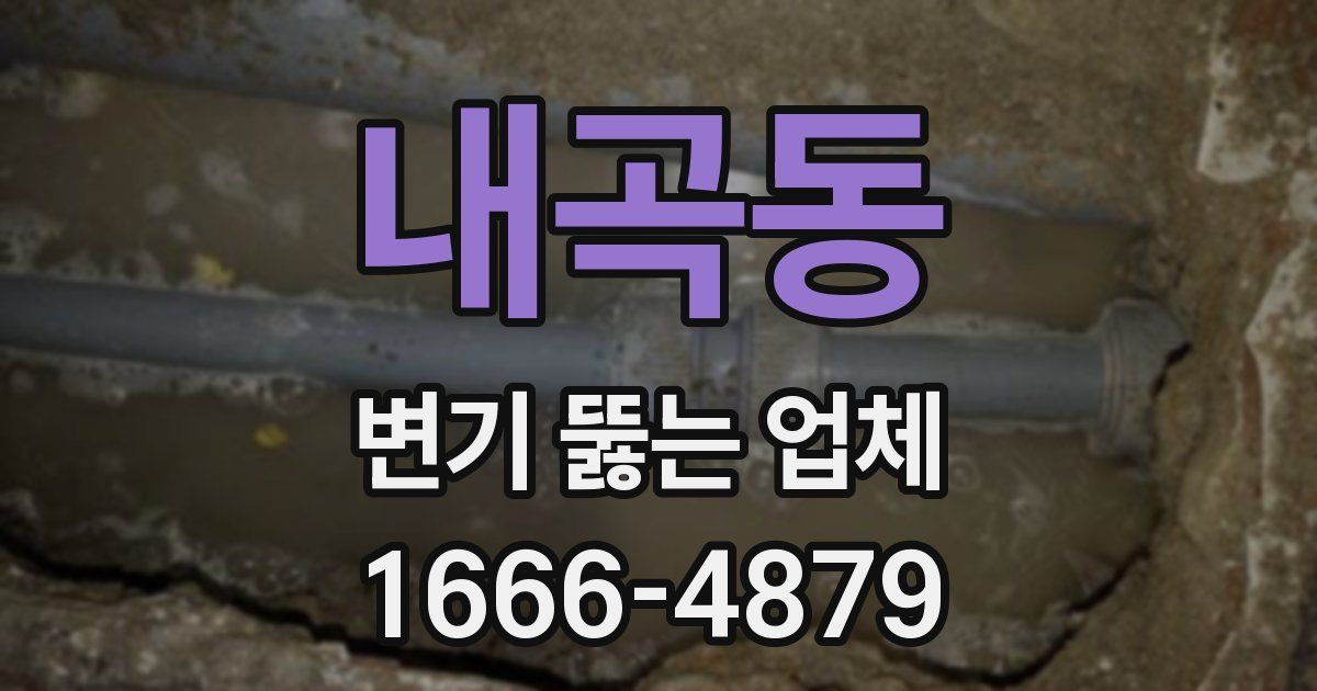 내곡동 변기 뚫는 업체