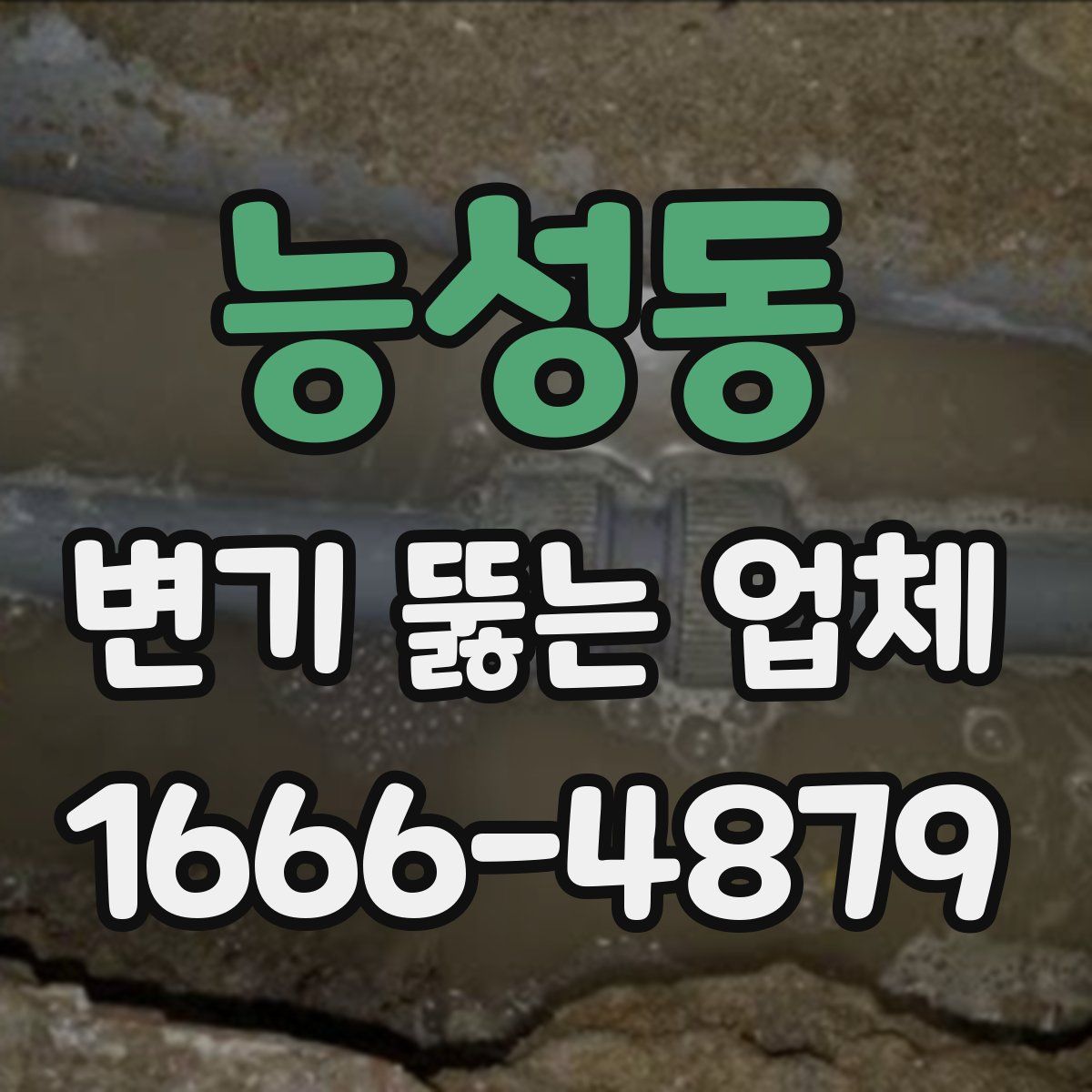 능성동 변기 뚫는 업체