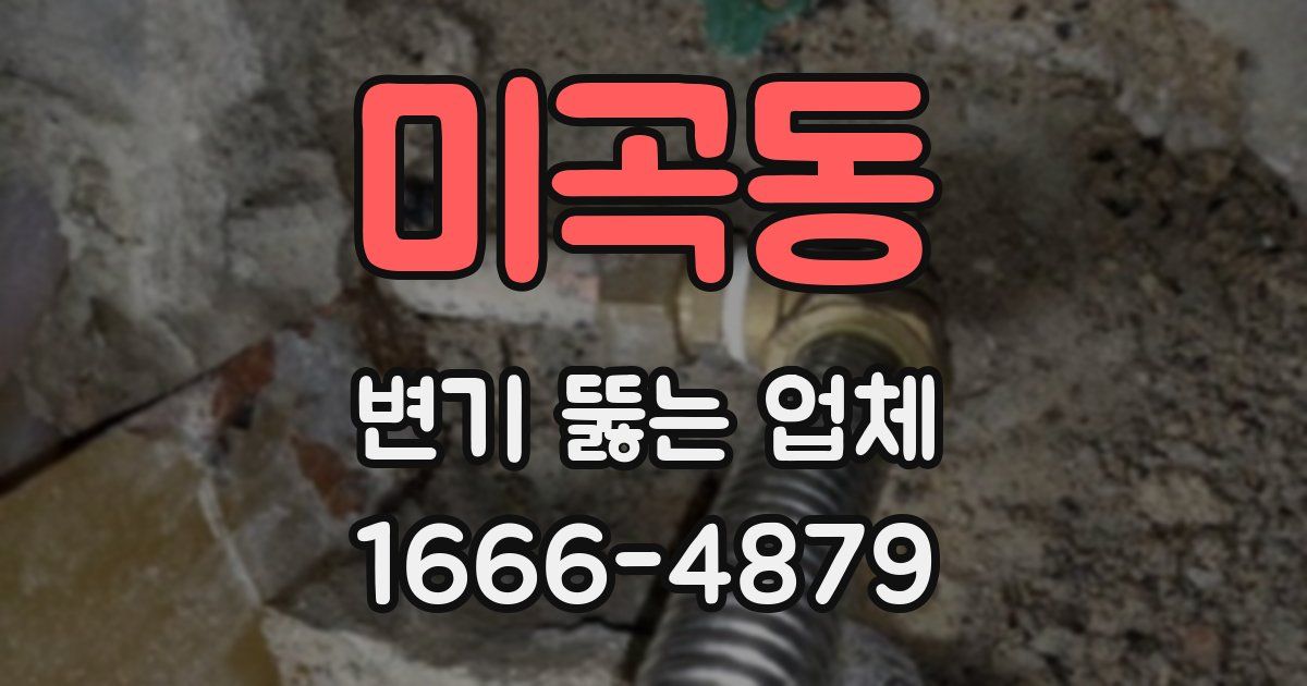 미곡동 변기 뚫는 업체