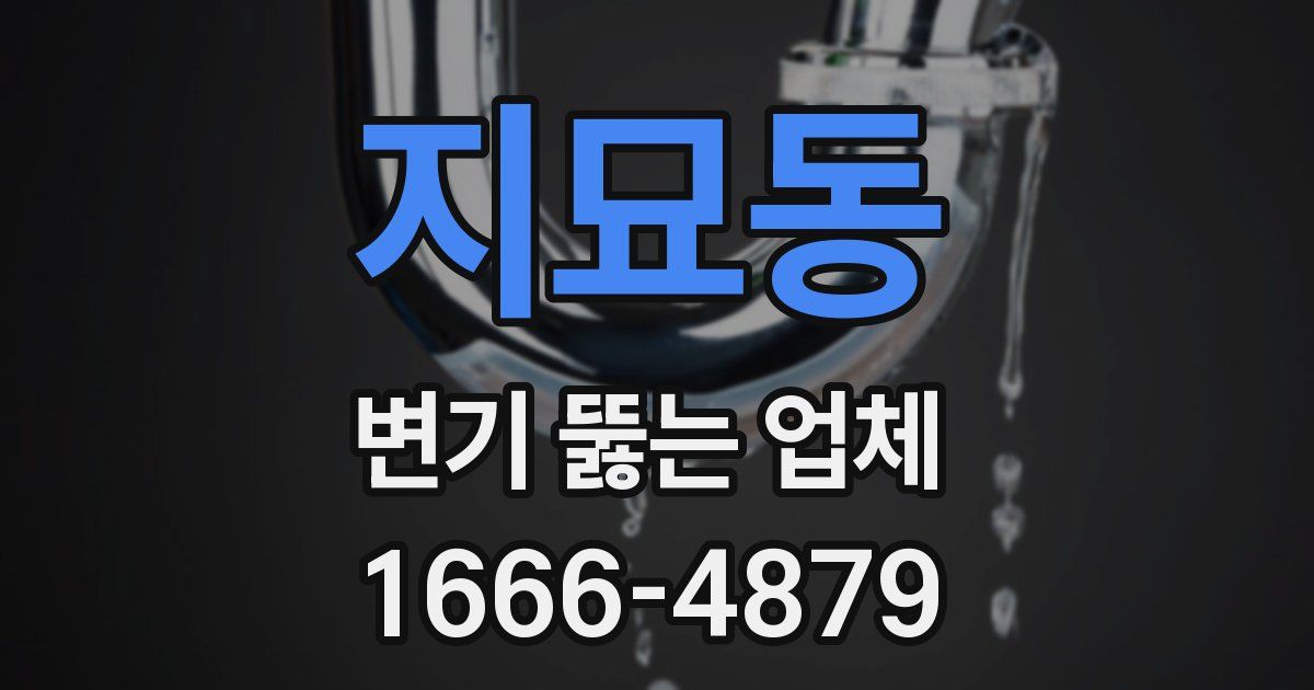 지묘동 변기 뚫는 업체