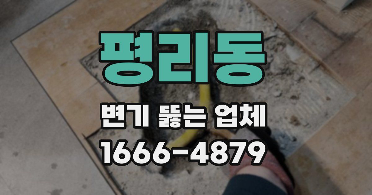 평리동 변기 뚫는 업체