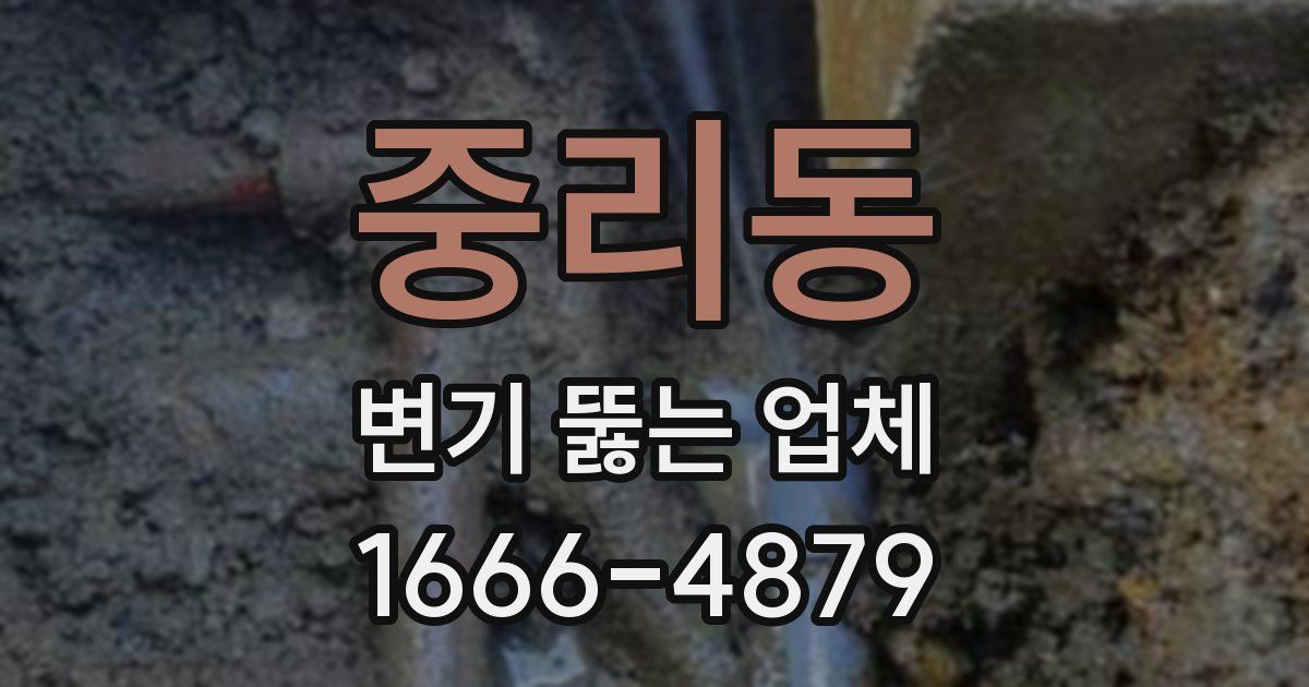 중리동 변기 뚫는 업체