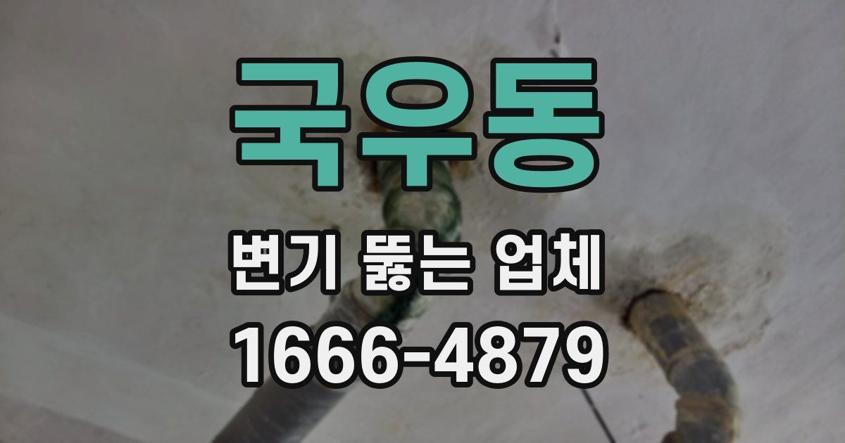 국우동 변기 뚫는 업체