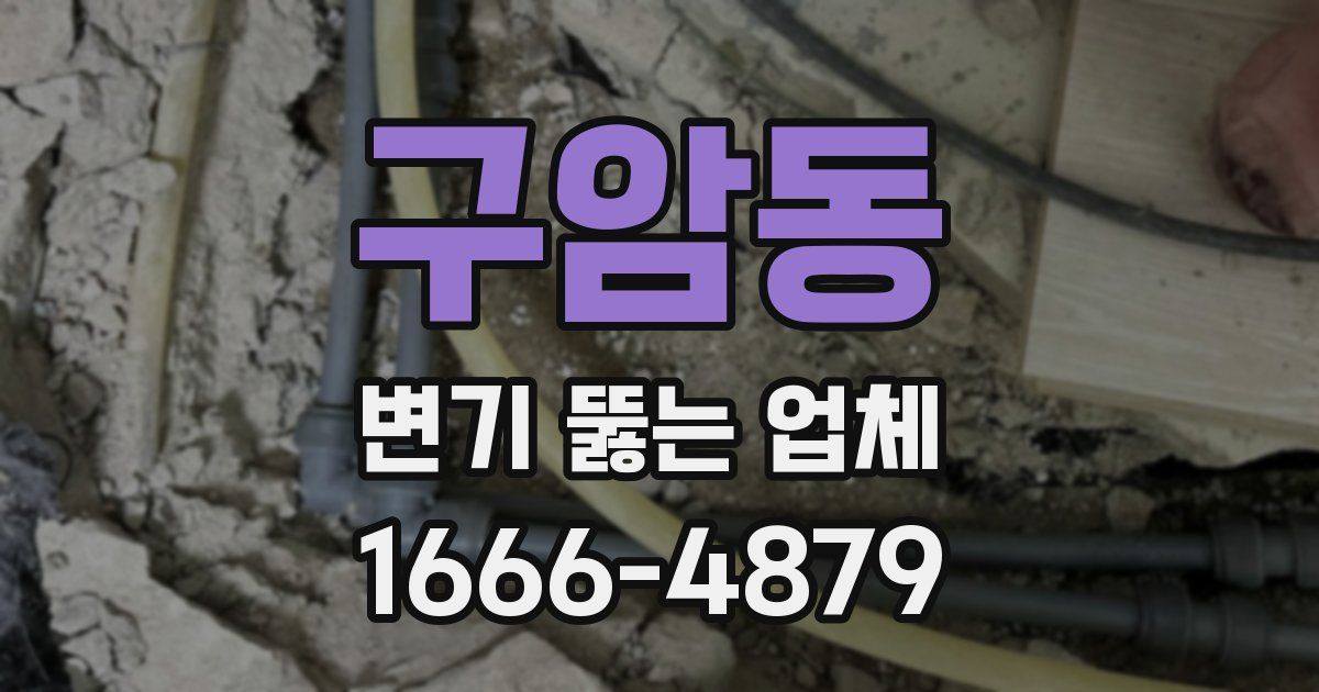 구암동 변기 뚫는 업체