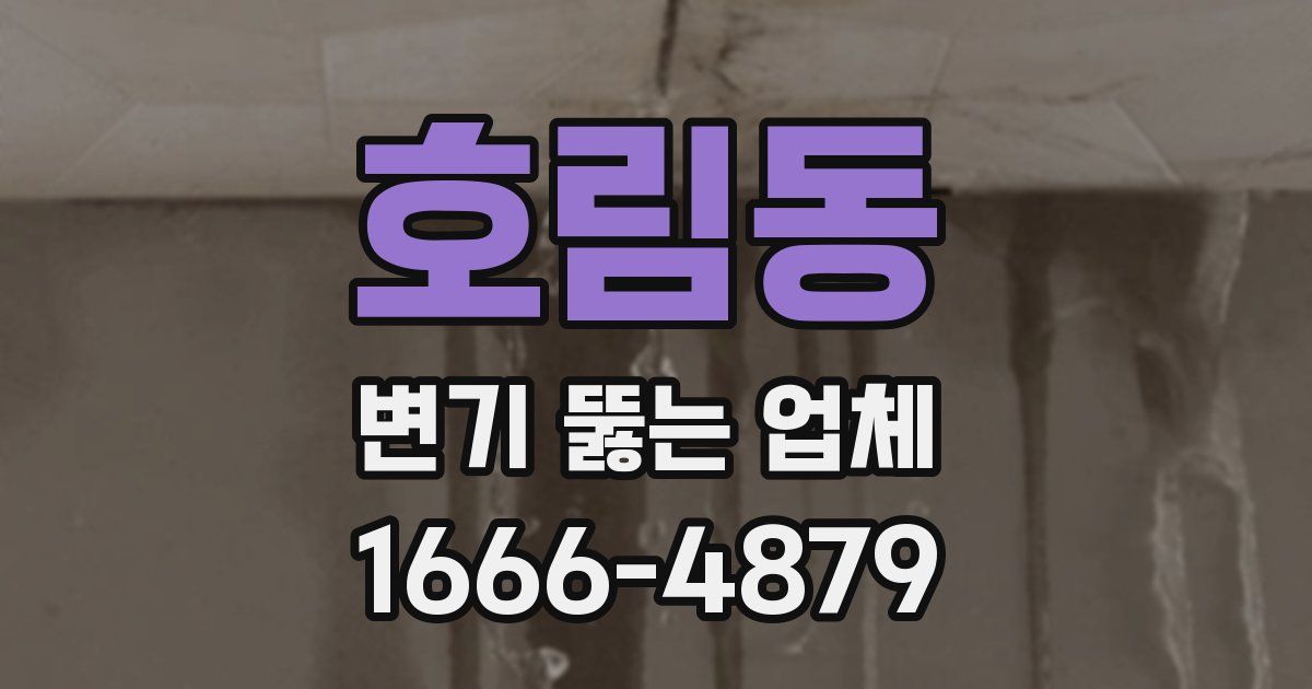 호림동 변기 뚫는 업체