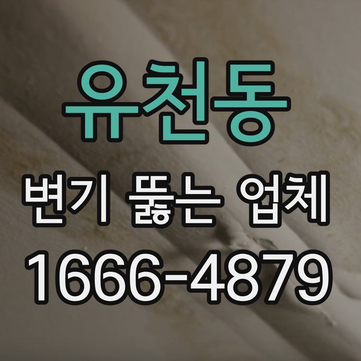 유천동 변기 뚫는 업체