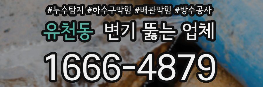 유천동 변기 뚫는 업체