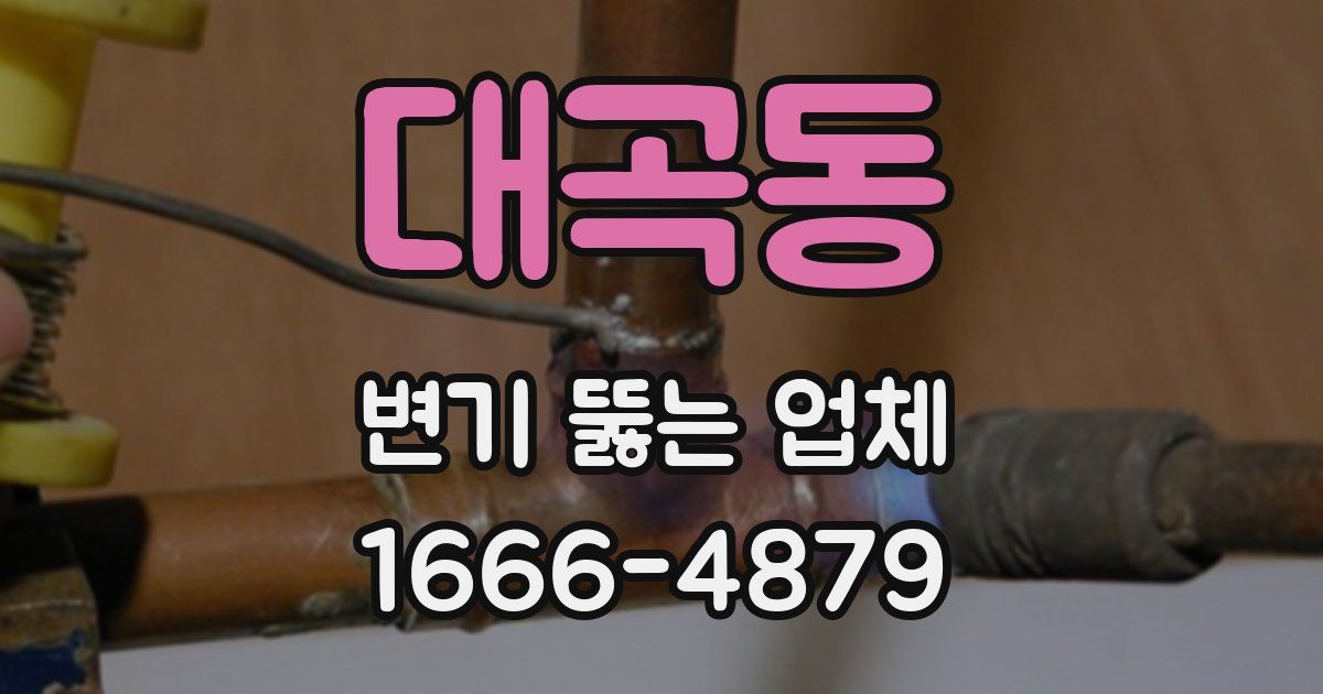 대곡동 변기 뚫는 업체