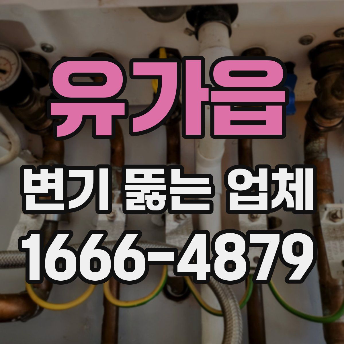 유가읍 변기 뚫는 업체