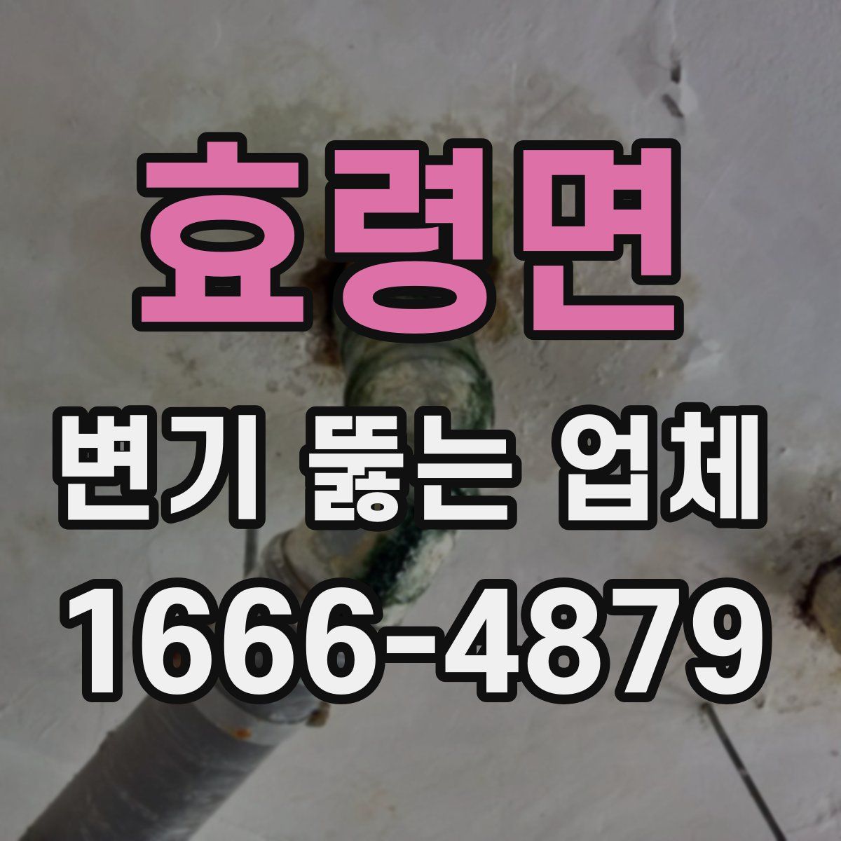 효령면 변기 뚫는 업체