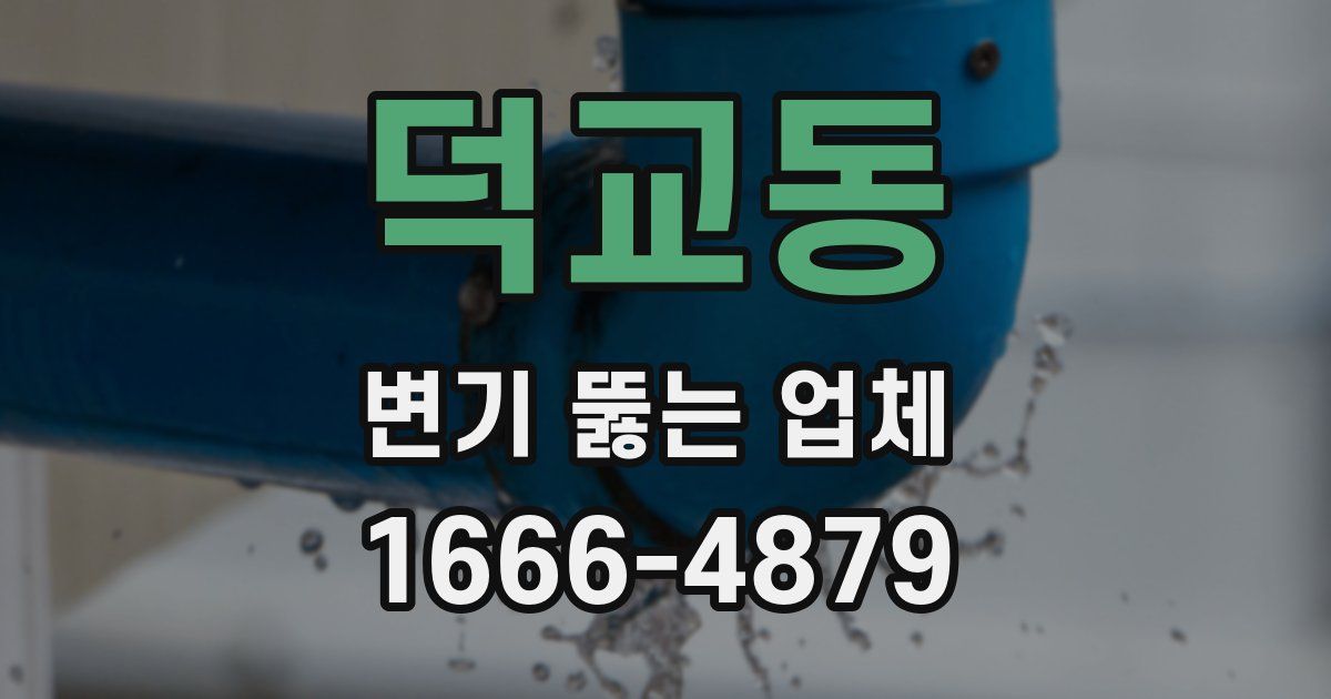 덕교동 변기 뚫는 업체