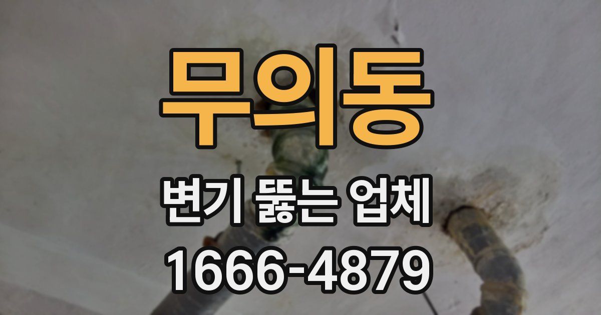 무의동 변기 뚫는 업체