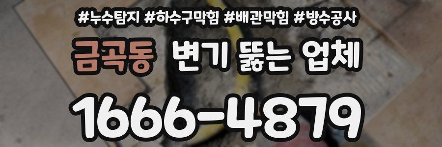금곡동 변기 뚫는 업체