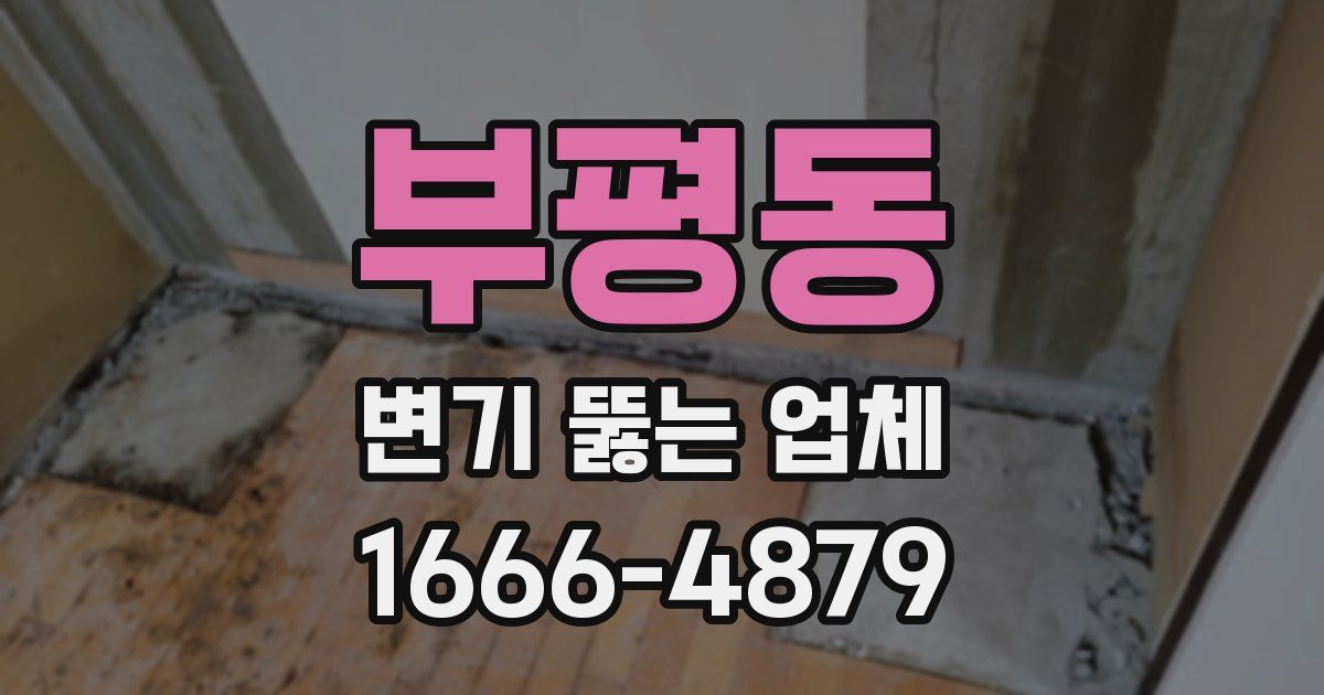 부평동 변기 뚫는 업체
