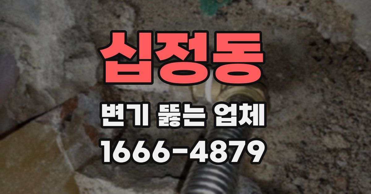 십정동 변기 뚫는 업체
