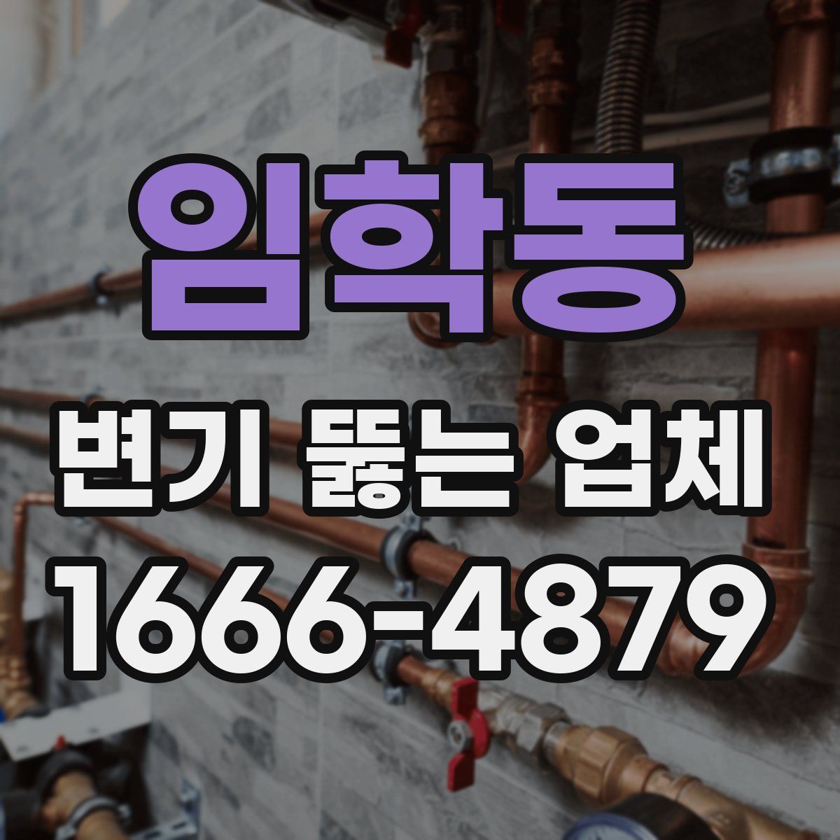 임학동 변기 뚫는 업체