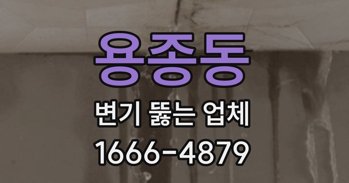 용종동 변기 뚫는 업체