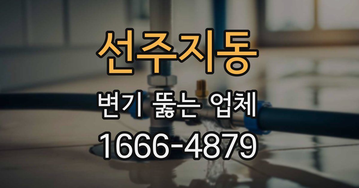 선주지동 변기 뚫는 업체