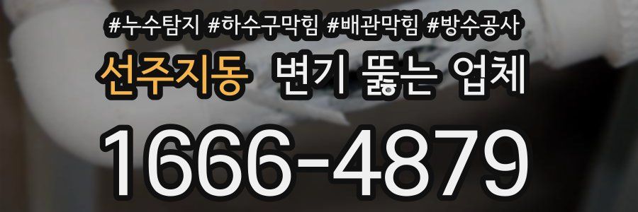 선주지동 변기 뚫는 업체
