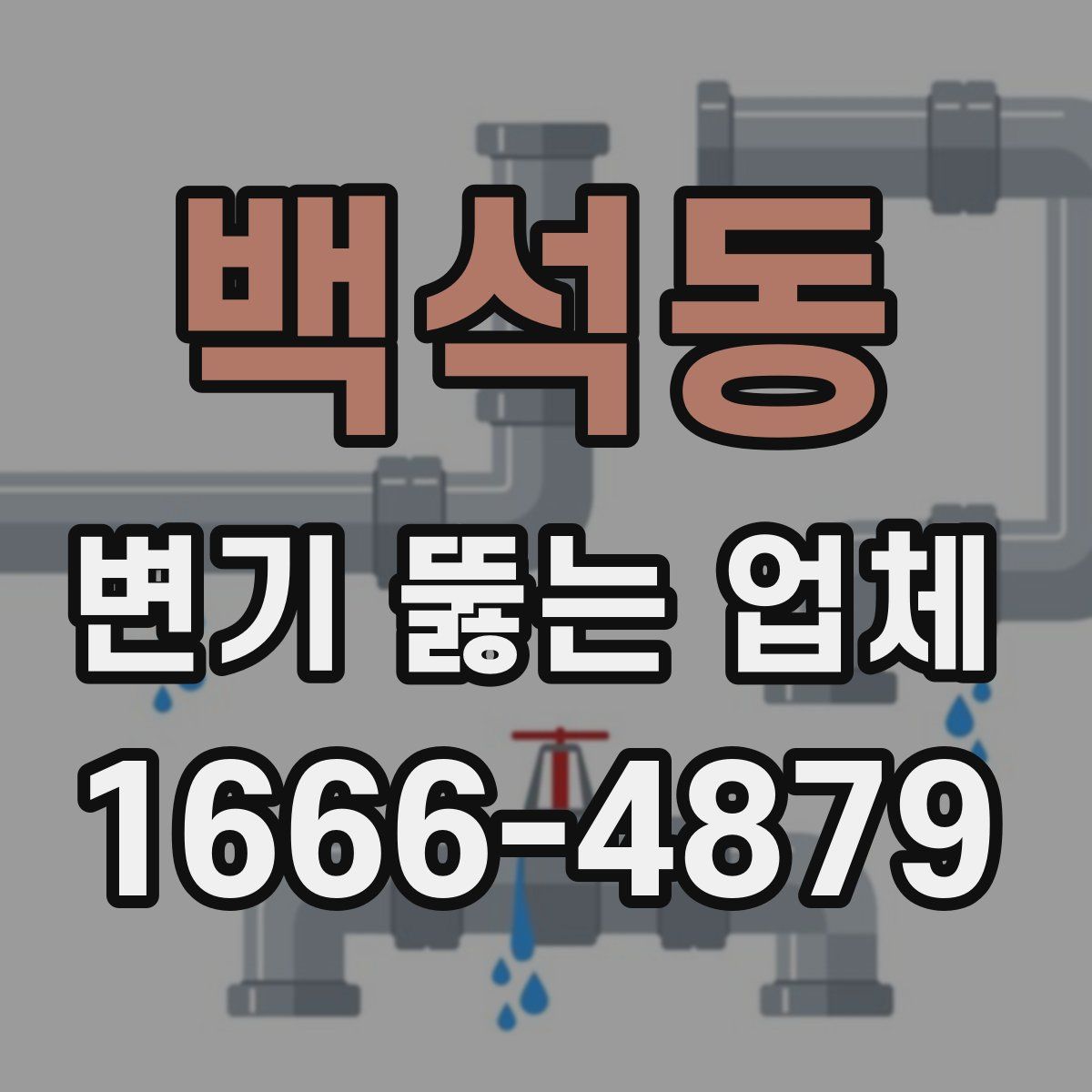 백석동 변기 뚫는 업체