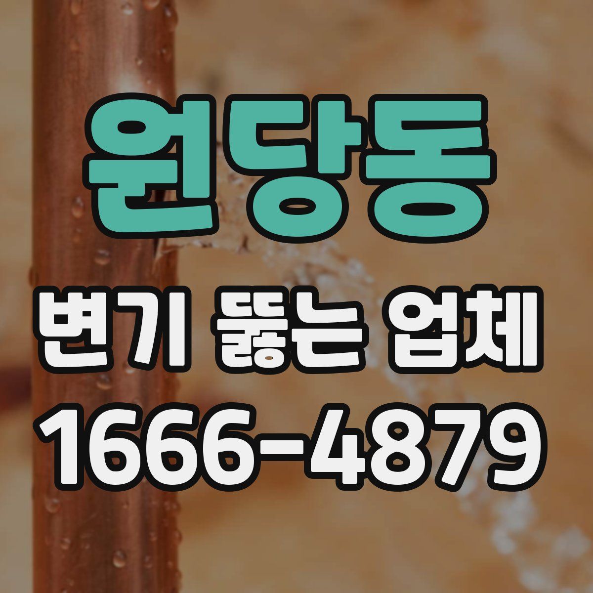 원당동 변기 뚫는 업체