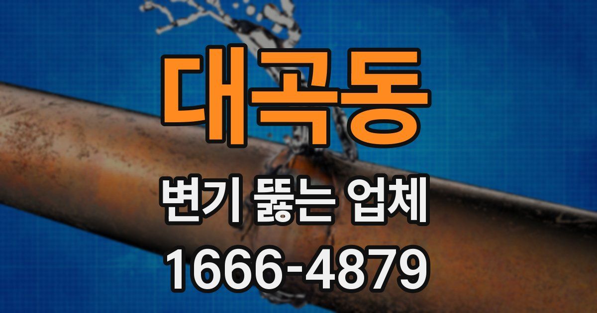 대곡동 변기 뚫는 업체