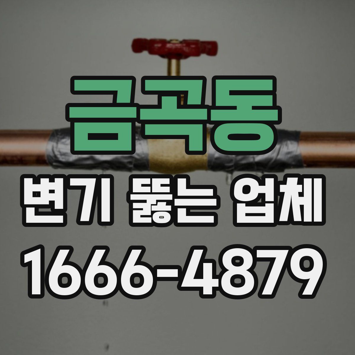 금곡동 변기 뚫는 업체