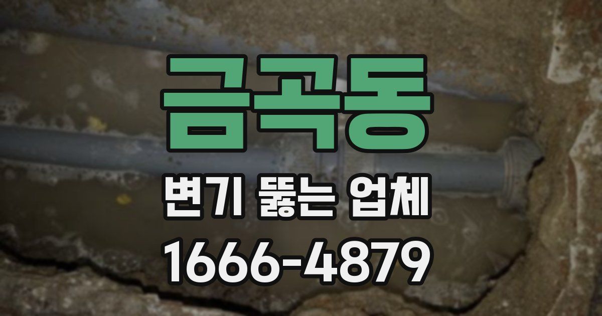 금곡동 변기 뚫는 업체