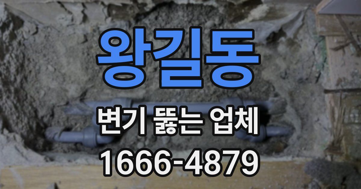 왕길동 변기 뚫는 업체