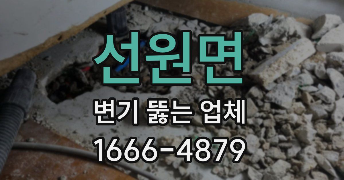 선원면 변기 뚫는 업체