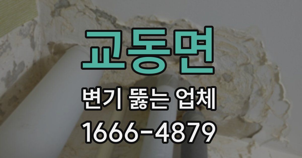 교동면 변기 뚫는 업체