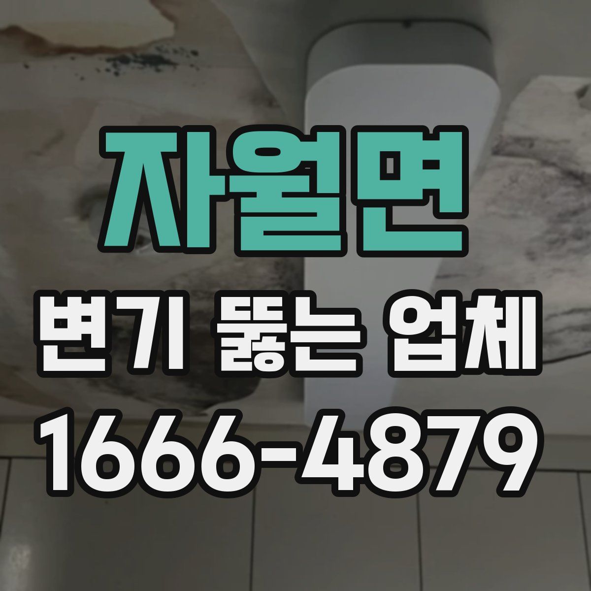 자월면 변기 뚫는 업체