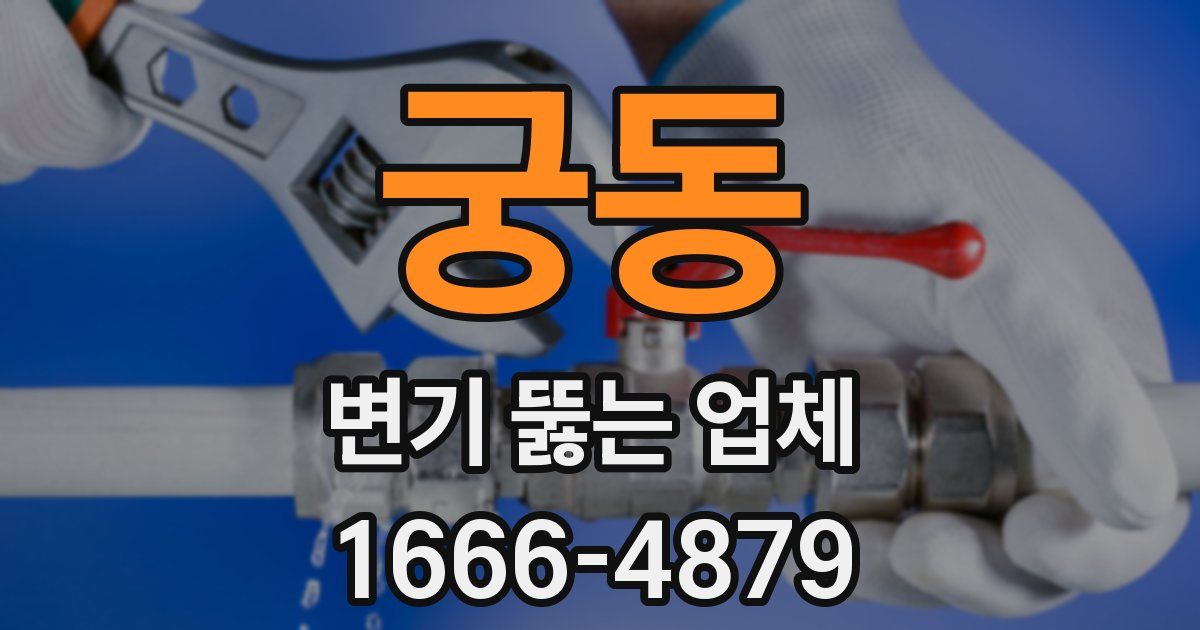 궁동 변기 뚫는 업체