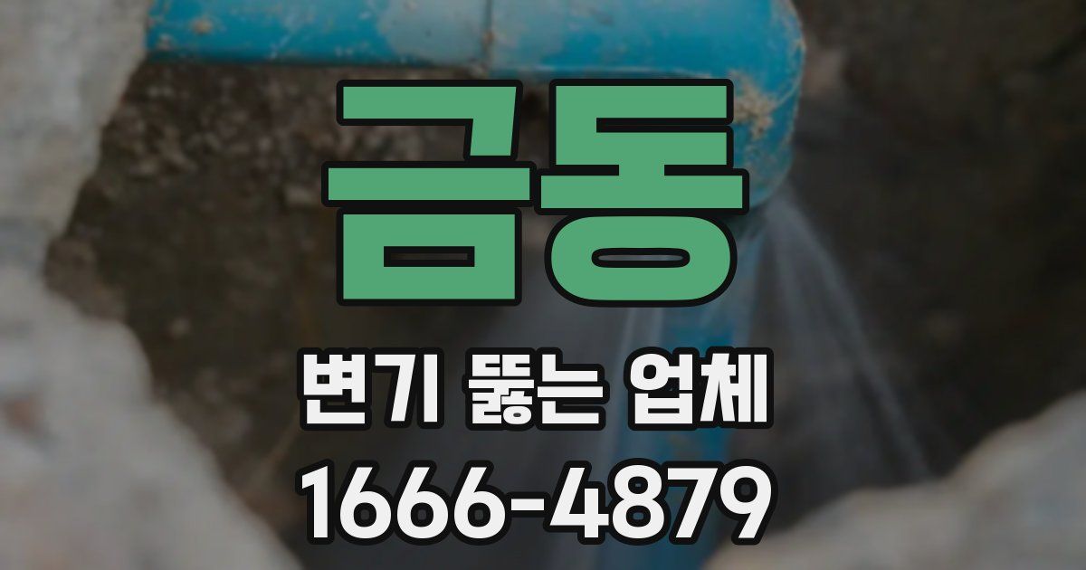 금동 변기 뚫는 업체