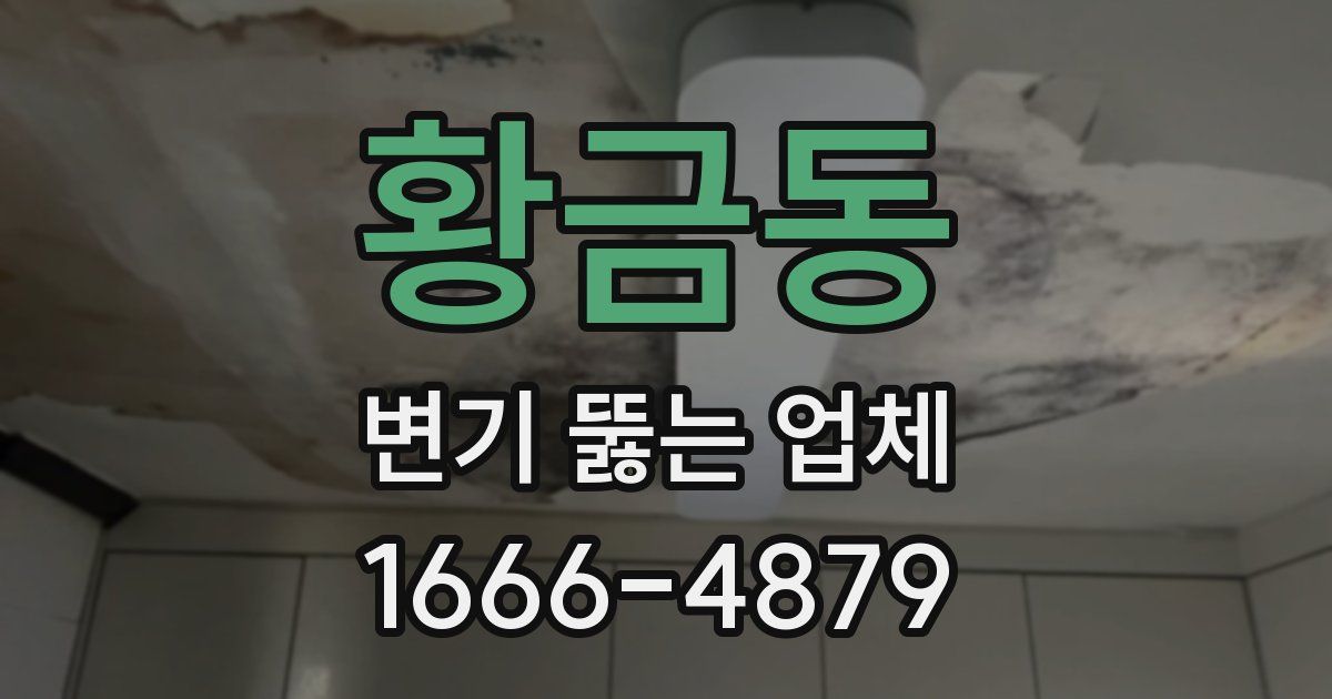 황금동 변기 뚫는 업체