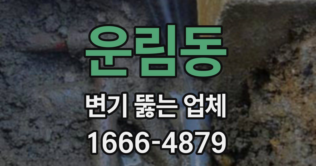운림동 변기 뚫는 업체