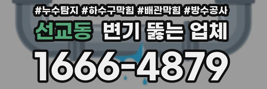 선교동 변기 뚫는 업체