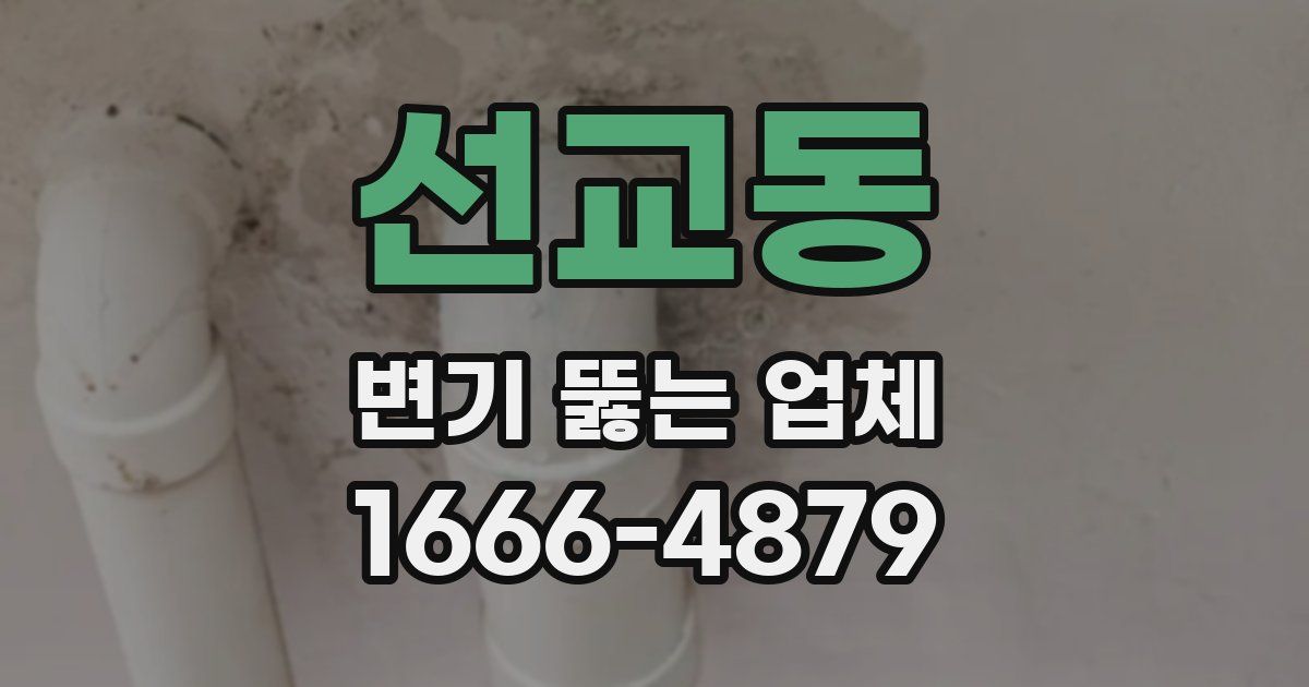 선교동 변기 뚫는 업체