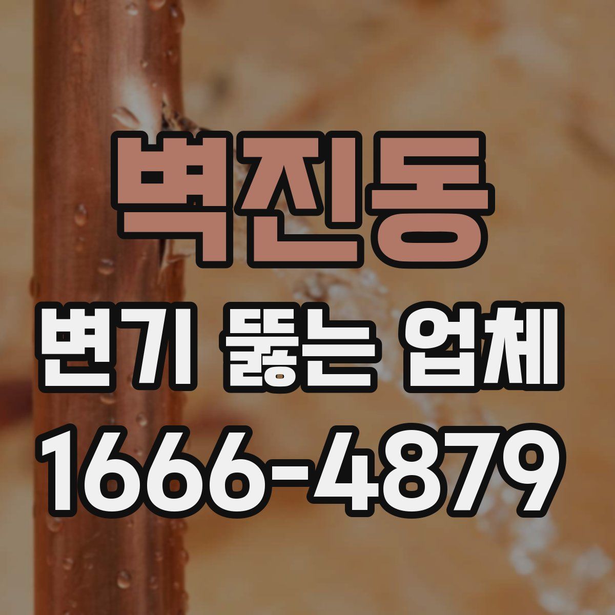 벽진동 변기 뚫는 업체