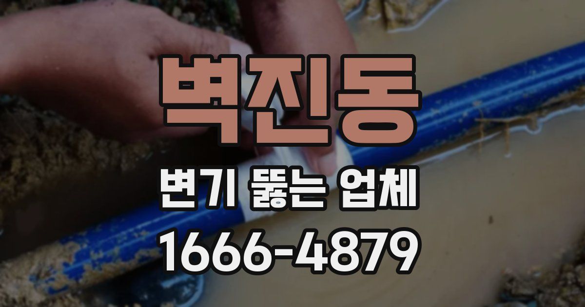벽진동 변기 뚫는 업체