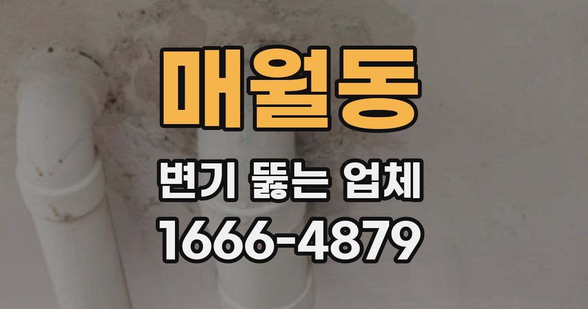 매월동 변기 뚫는 업체
