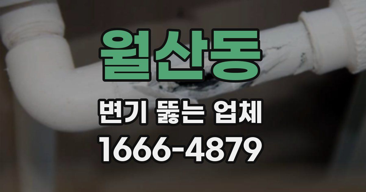 월산동 변기 뚫는 업체