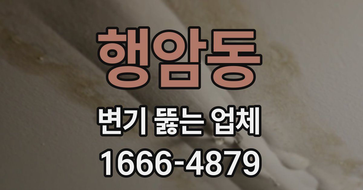 행암동 변기 뚫는 업체